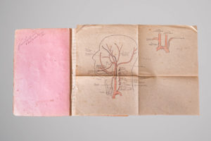 A imagem mostra uma página aberta de um caderno antigo com capa rosa e uma folha dobrada contendo um diagrama anatômico. Na capa interna, há uma assinatura manuscrita com o texto "5º ano de odontologia - 1949", indicando que o material pertence a um estudante do quinto ano de odontologia. O diagrama à direita detalha a anatomia da cabeça e do pescoço, destacando o sistema circulatório, com um corte lateral que identifica artérias como "Temporal superficial", "Transversal da face" e "Lingual", além das "Carótida externa" e "Carótida interna". Há também um esquema à parte do tronco arterial, com estruturas como "Aorta", "Tronco braquiocefálico", "Subclávia direita" e "Subclávia esquerda". As anotações manuscritas nomeiam diferentes vasos e partes do sistema vascular, sugerindo que se trata de um material de estudo detalhado de anatomia, provavelmente usado em aulas práticas.